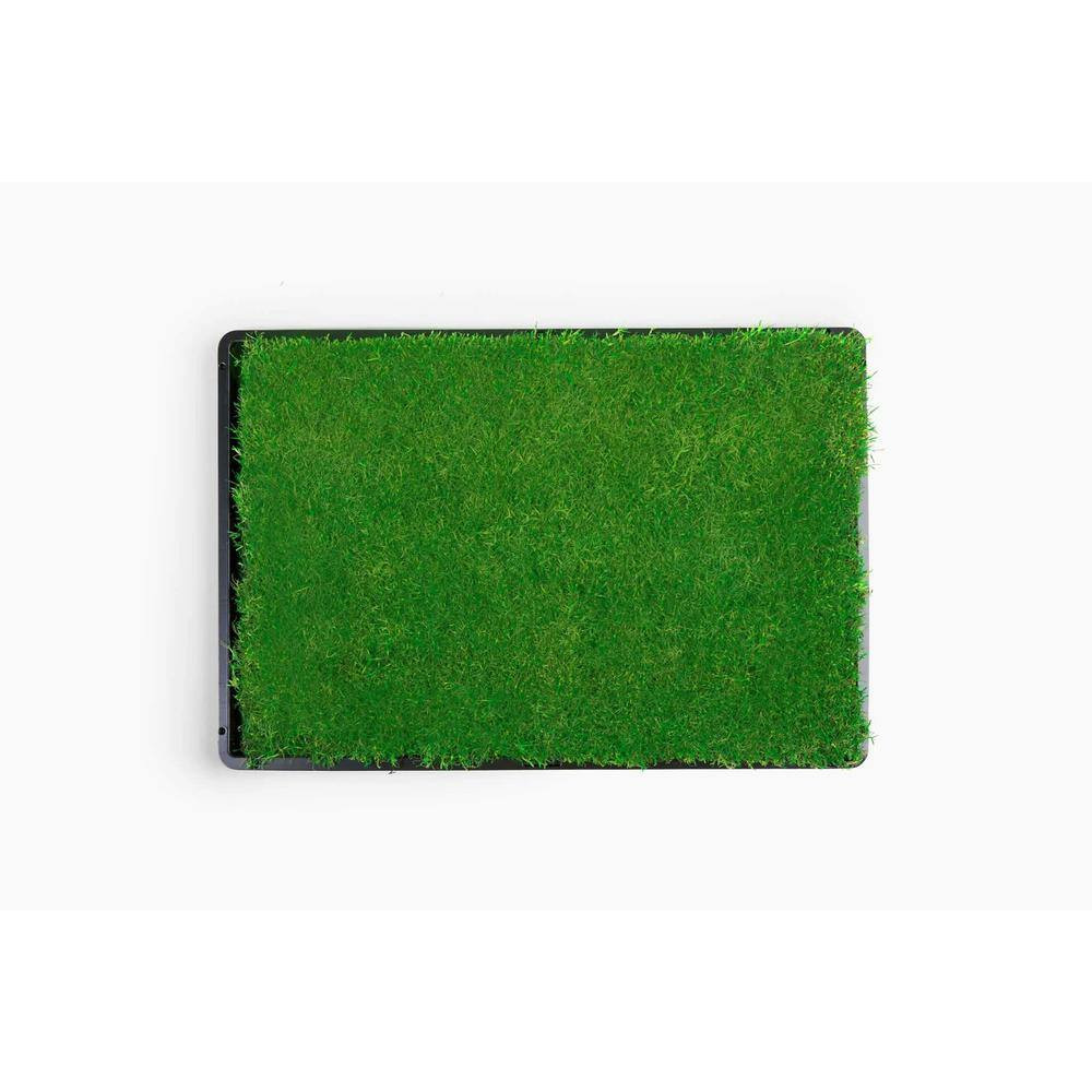 Gotta Go Grass Potty Pad with Tray + Waste Bags + Toy Ball + Squeaky Toy