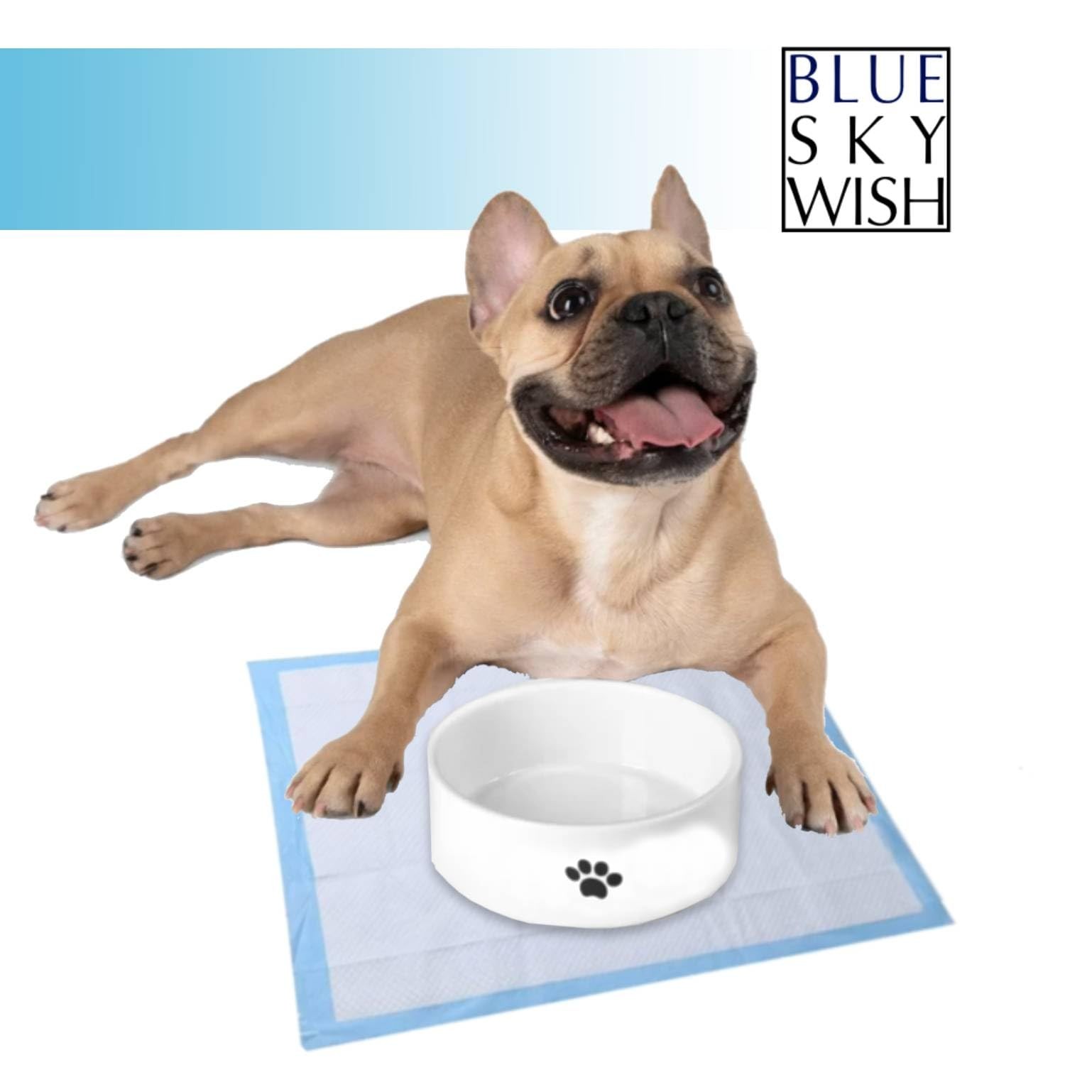 Pet Training Pads, 100 Count Size Small 13″ x 18″, Absorbent Disposable Pee P…