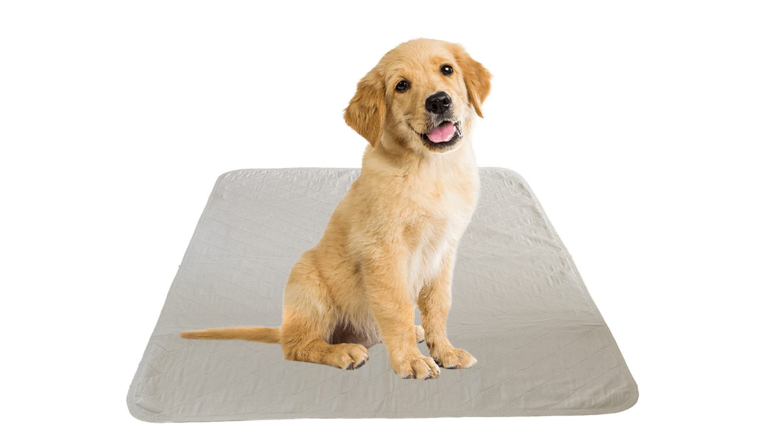 2 – Puppy Training Washable Pee Pads Heavy Duty Super Absorbent Carpet/Seat/Rug