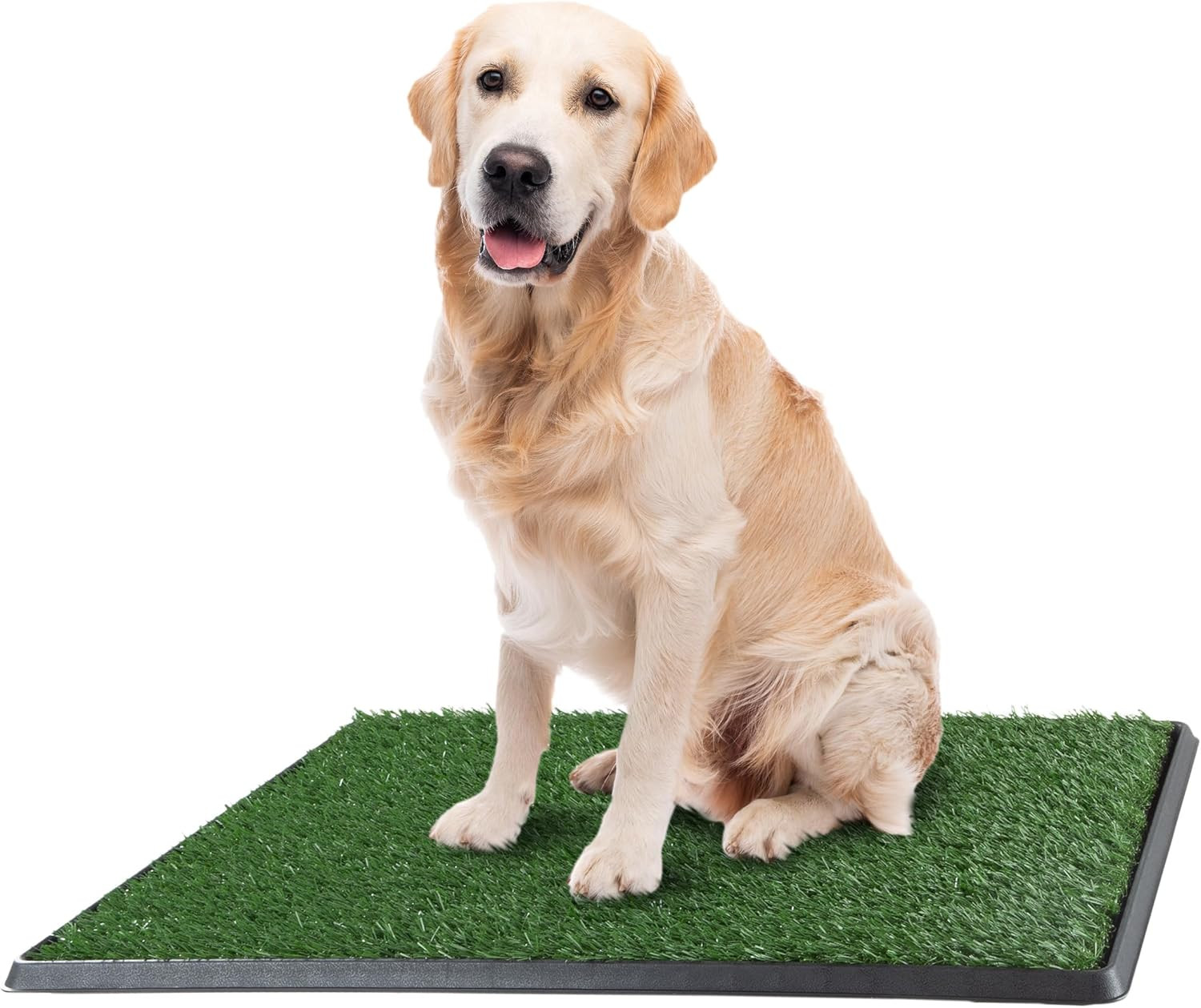 Artificial Grass Puppy Pee Pad for Dogs and Small Pets with Tray – 20X30 Inches