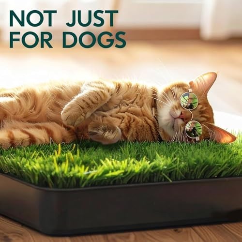 Dog Grass Pad with Tray 23x35in Artificial Turf Potty Training for Dogs