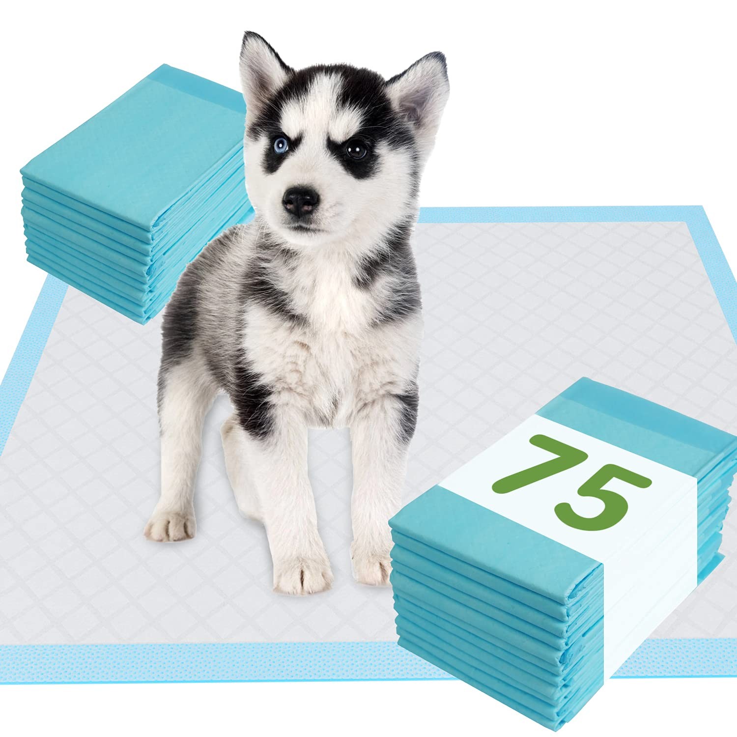 Pet Training and Puppy Pads 24″x24″ (75 Count), Super Absorbent Pee Pads for …