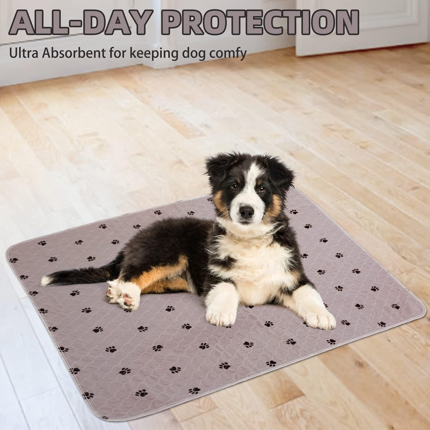 Washable Pee Pads for Dogs – 2 Pack 34″ X 36″ Waterproof Reusable Puppy Potty Tr