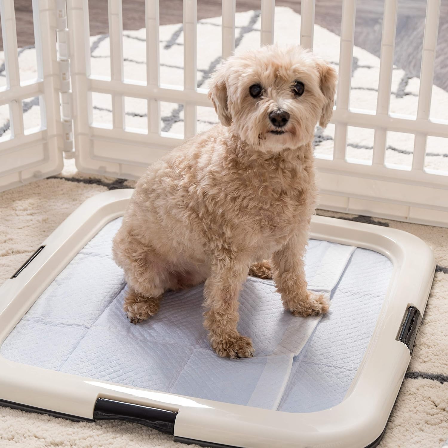 Dog Pee Pad Holder 22×22 Leak Proof Puppy Training Pad Tray Non Slip Latches