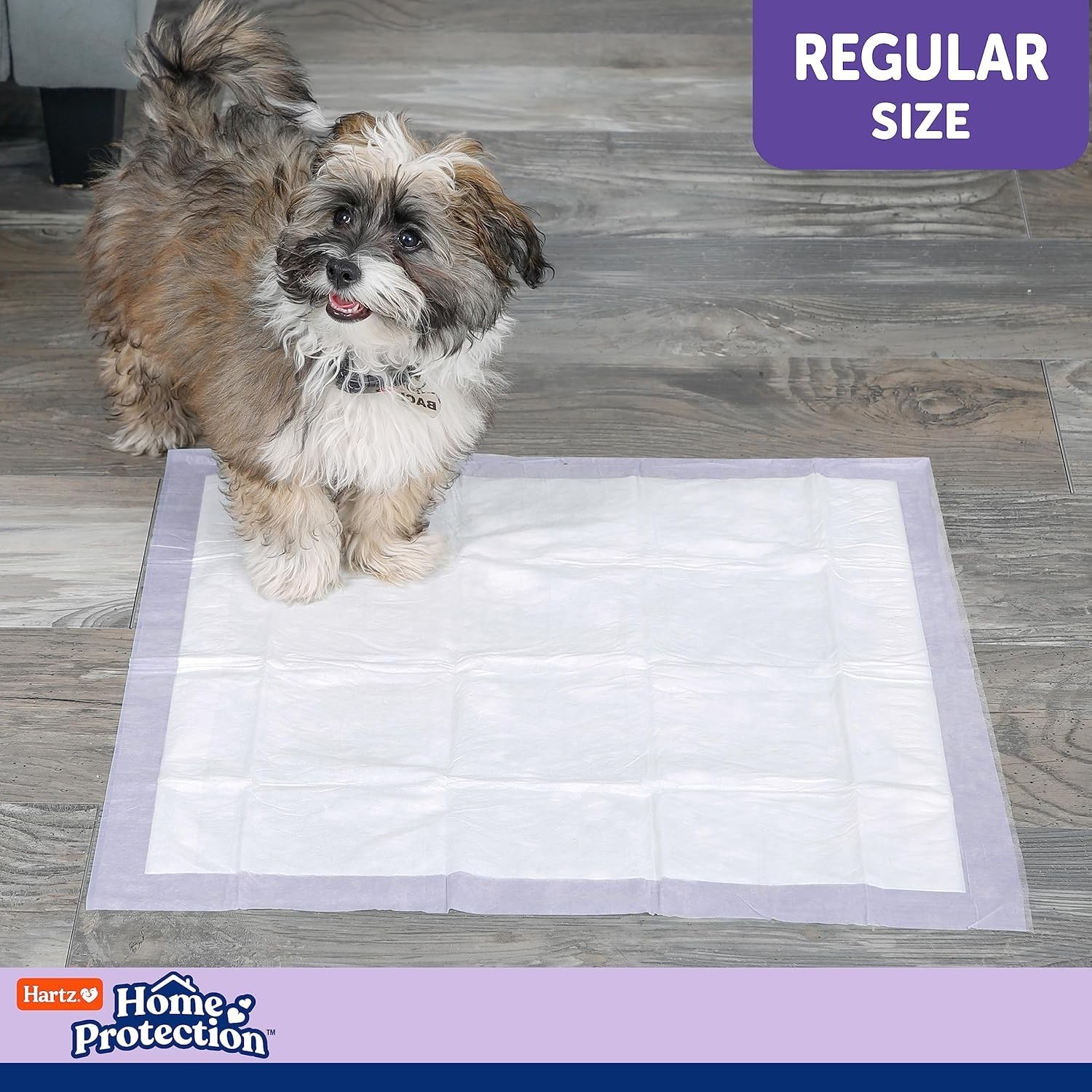 Super Absorbent Lavender Dog Pads 50 Count – No-Leak, Odor Eliminating Solution