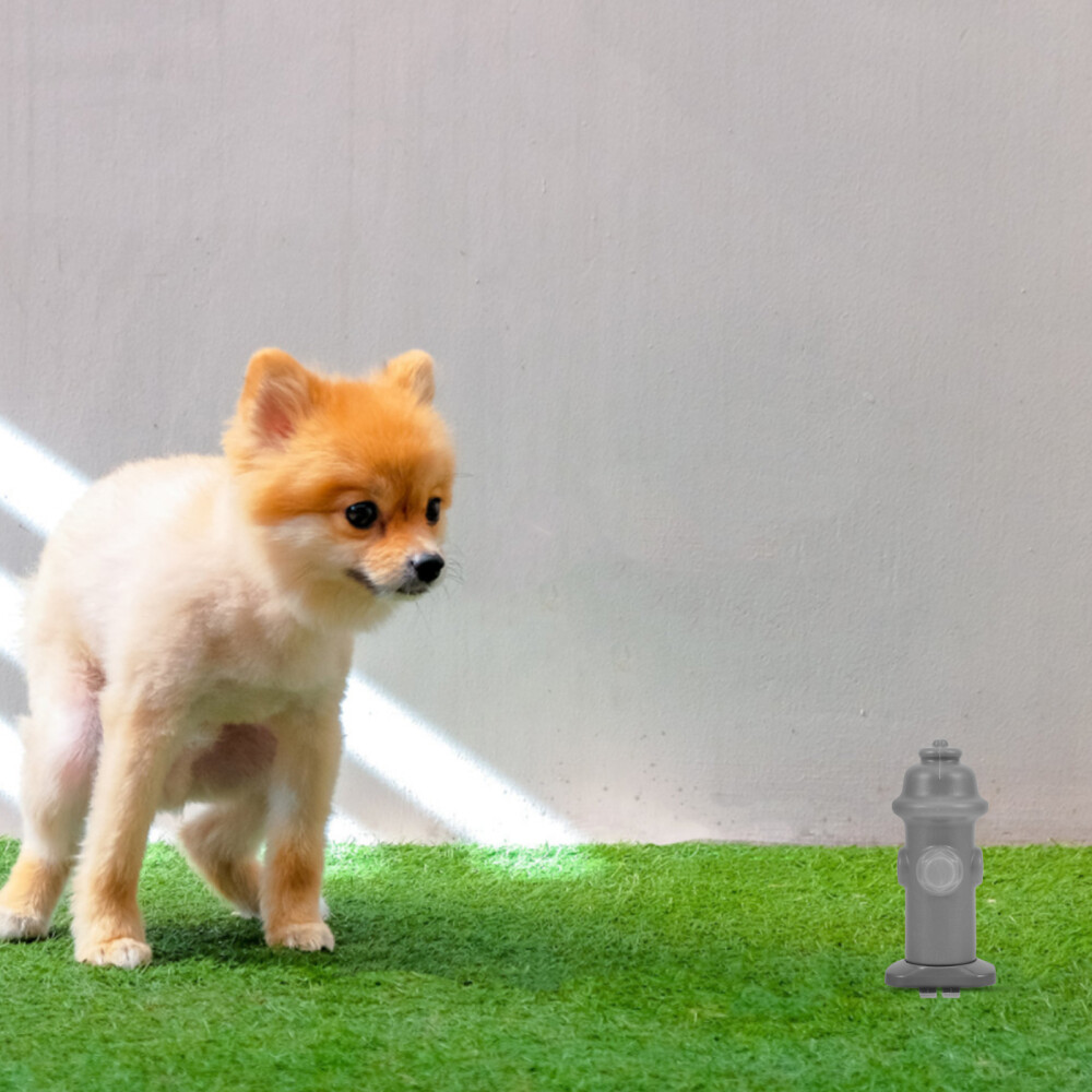 1PC Dog Potty Tray Column Pet Training Toilet