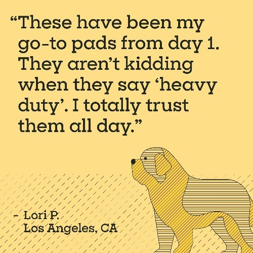 Pet Life Unlimited Dog Pads, Heavy Duty, 3XL, 36″ x 36″, 25ct
