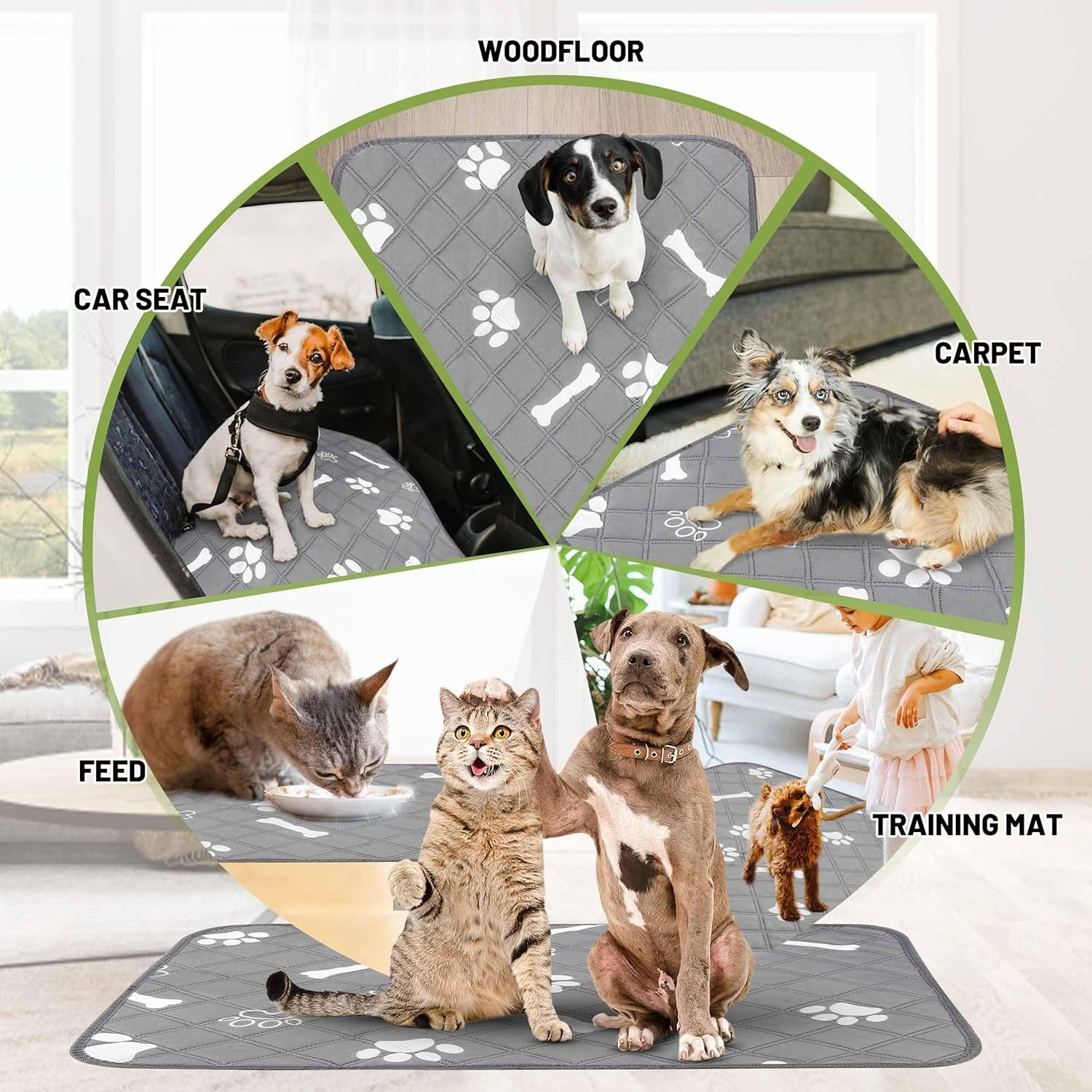 Empaquetaduras lavables para orinar para perros, paquete de 2 extra