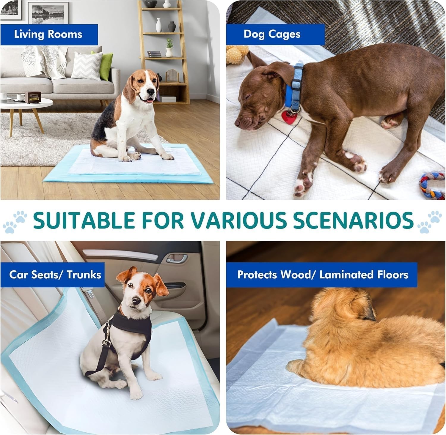 Scented Blue Pee Pads XL 24×36 Underpads for Dogs Ultra-Absorbent 5-Layer 25 PCS