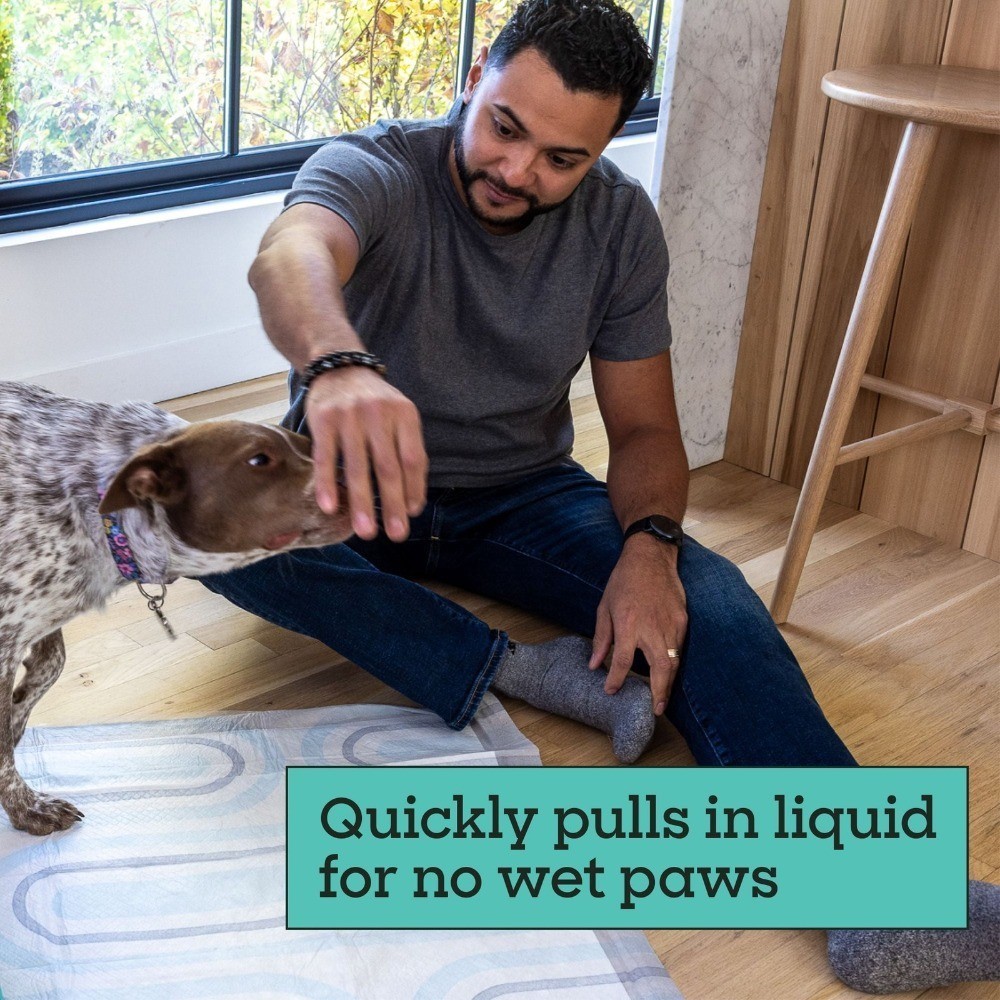 Dog Pads Large 22″x22″ 40ct W/ Leak-Proof & Quick Absorb For Puppy Training