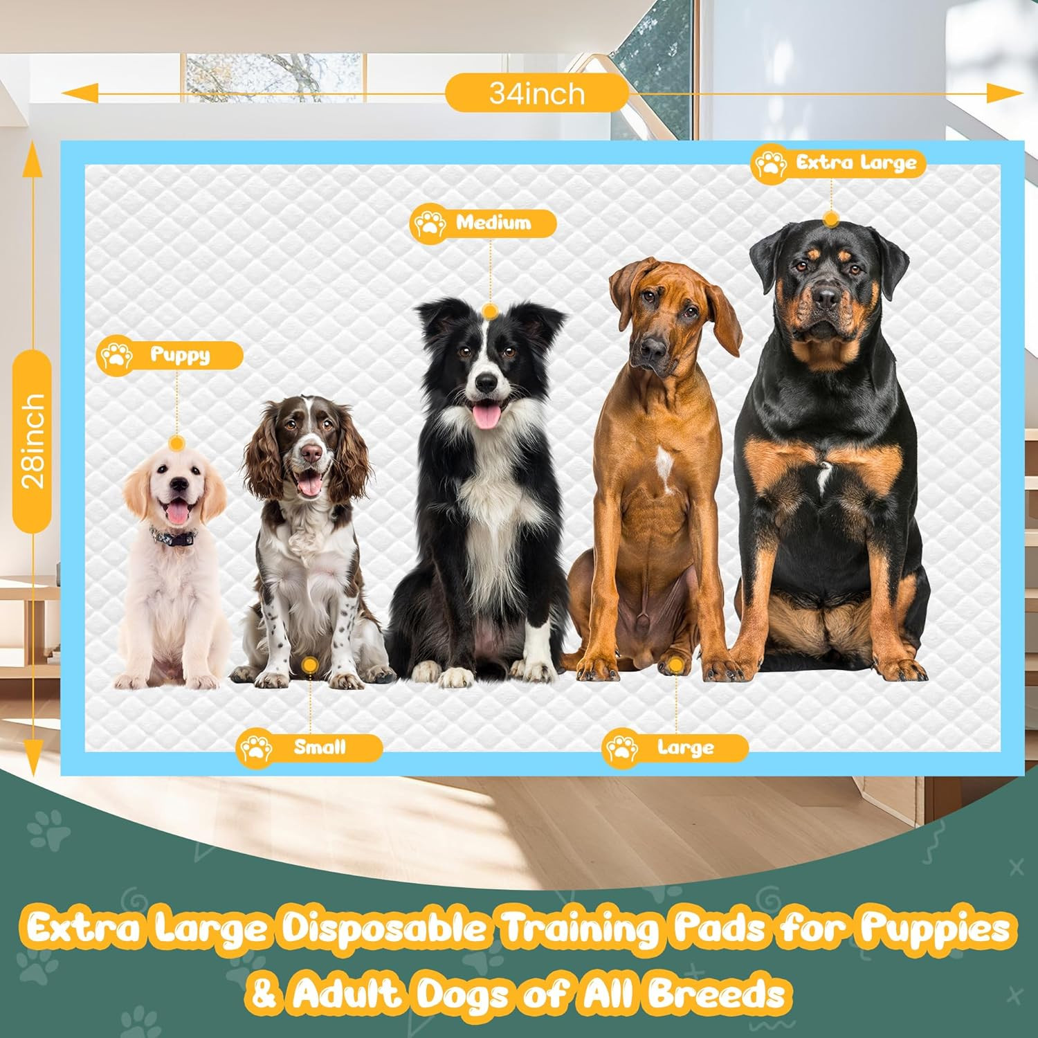 60 Count Extra Large Dog Pee Pads 28″ X 34″, Super Absorbent X-Large Puppy Pads