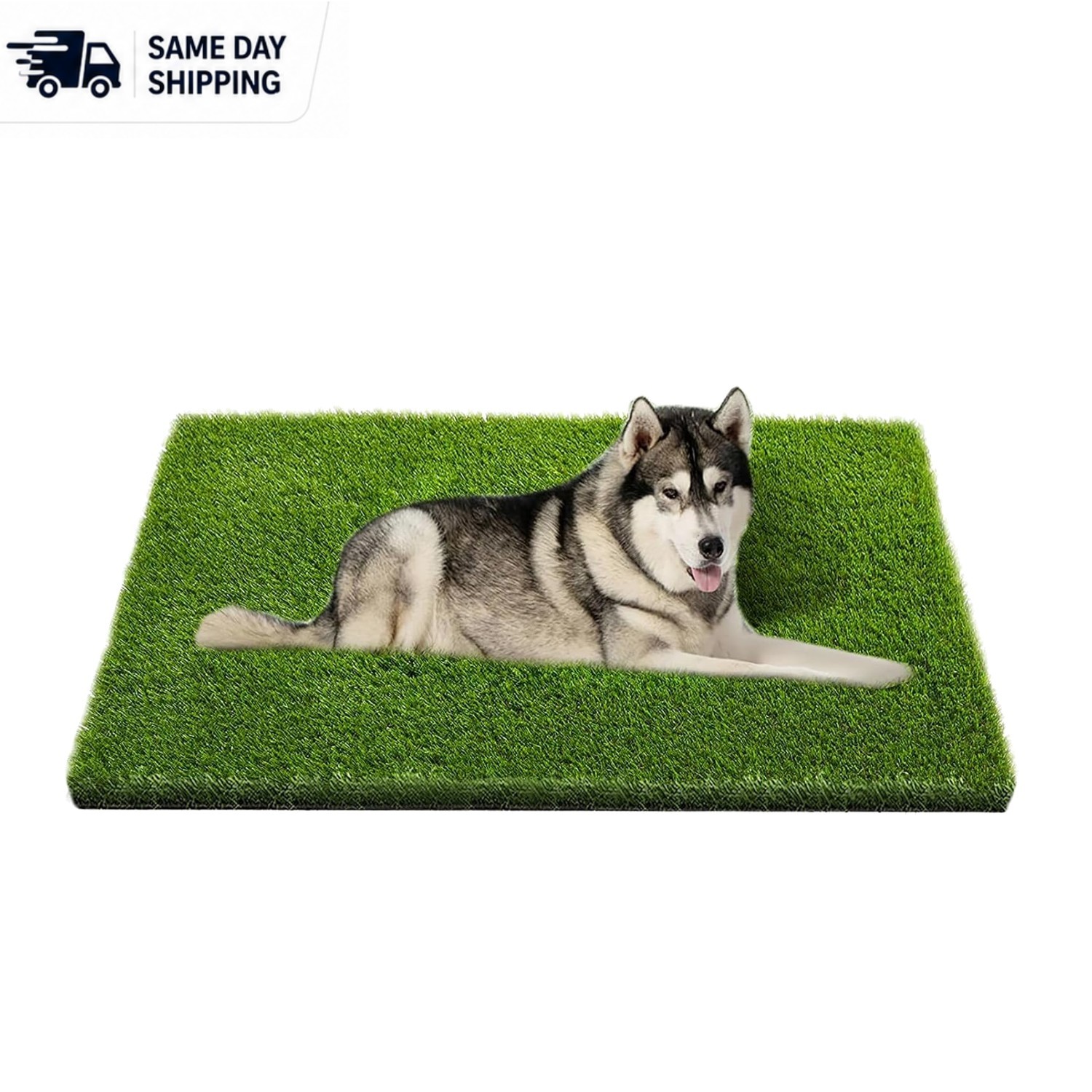 Washable Pet Training Turf with Drainage Holes, Ideal for Balconies & Indoors