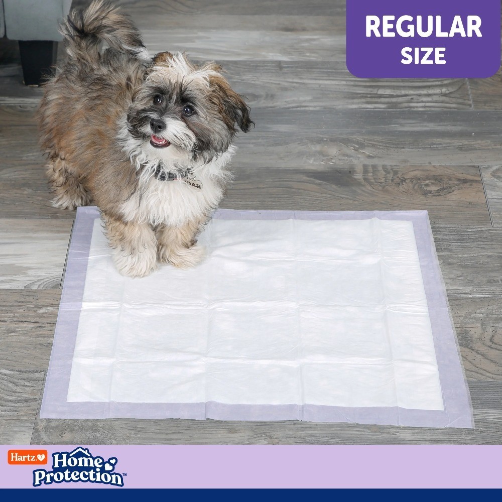 Lavender Scented Odor Eliminating Puppy Pee Pads Regular Size 21×21 Inch 100