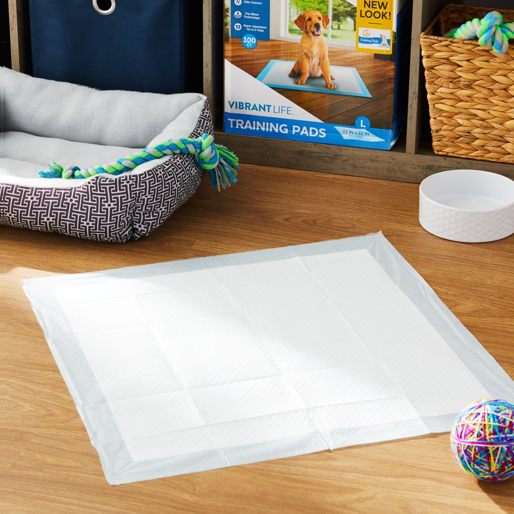 Large Super-Absorbent Dog Training Pads Odor Control Pet Supplies 50 Count