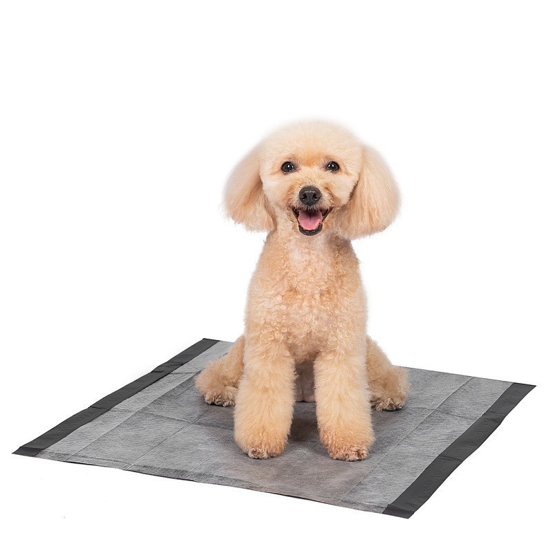 Activated Charcoal Dog Pads 100ct Leak-Proof Odor Control Training Pads New