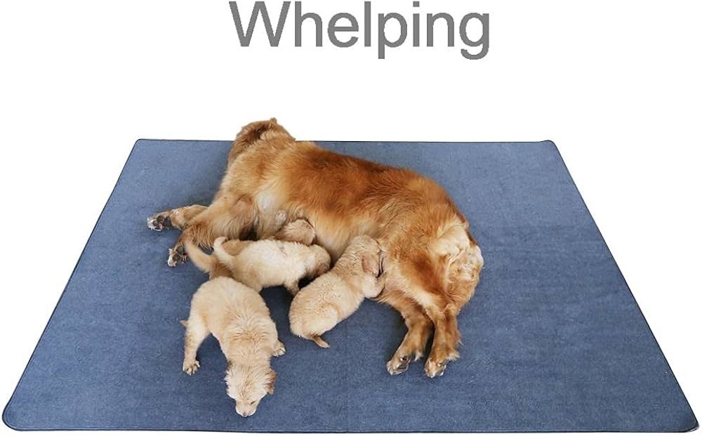 72×72 Waterproof Dog Bed Cover Reusable Pee Pad Large Pet Training Mat Whelping