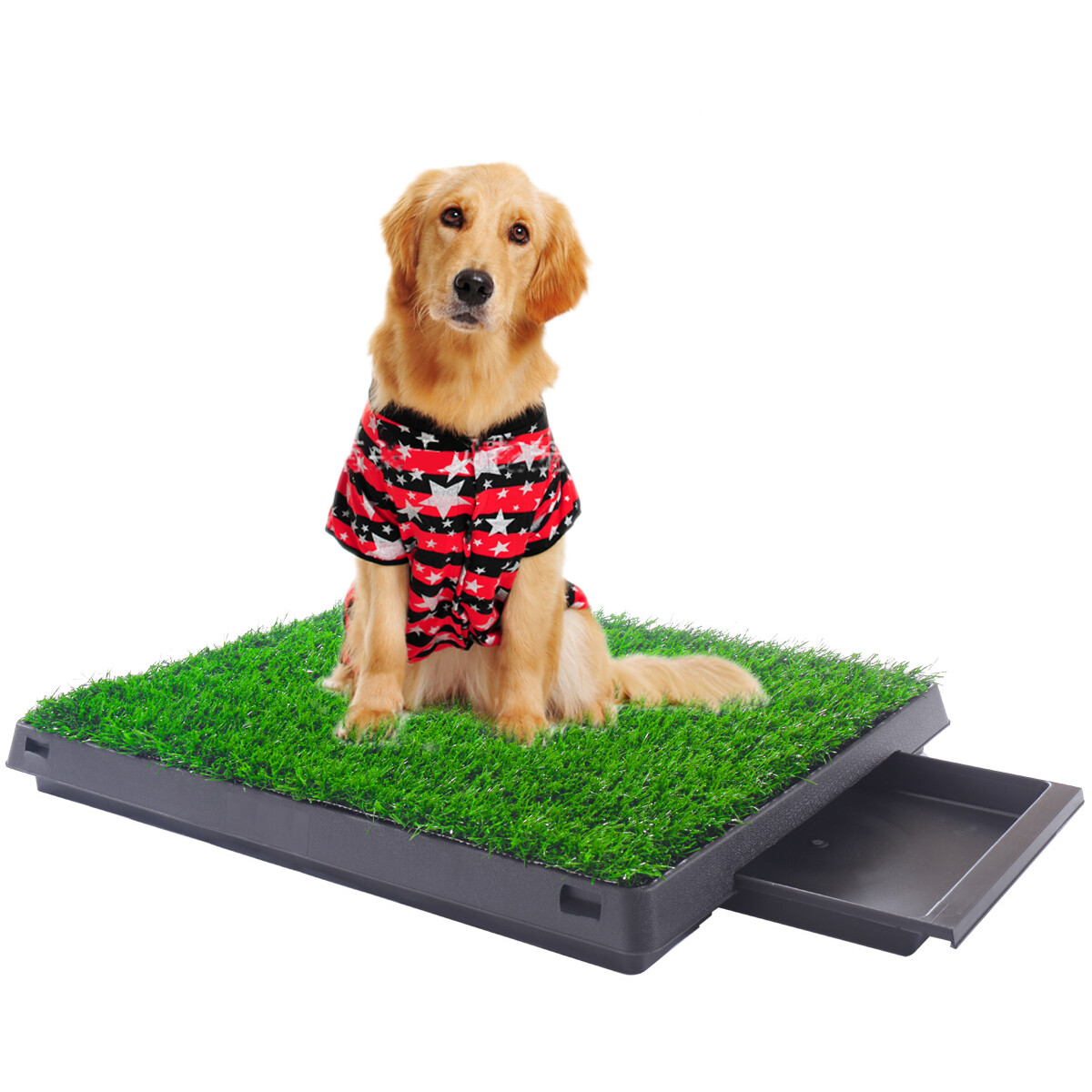 COZIWOW Indoor Puppy Pee Pad Dog Potty Pad Mat Grass Home Pet Training Toilet