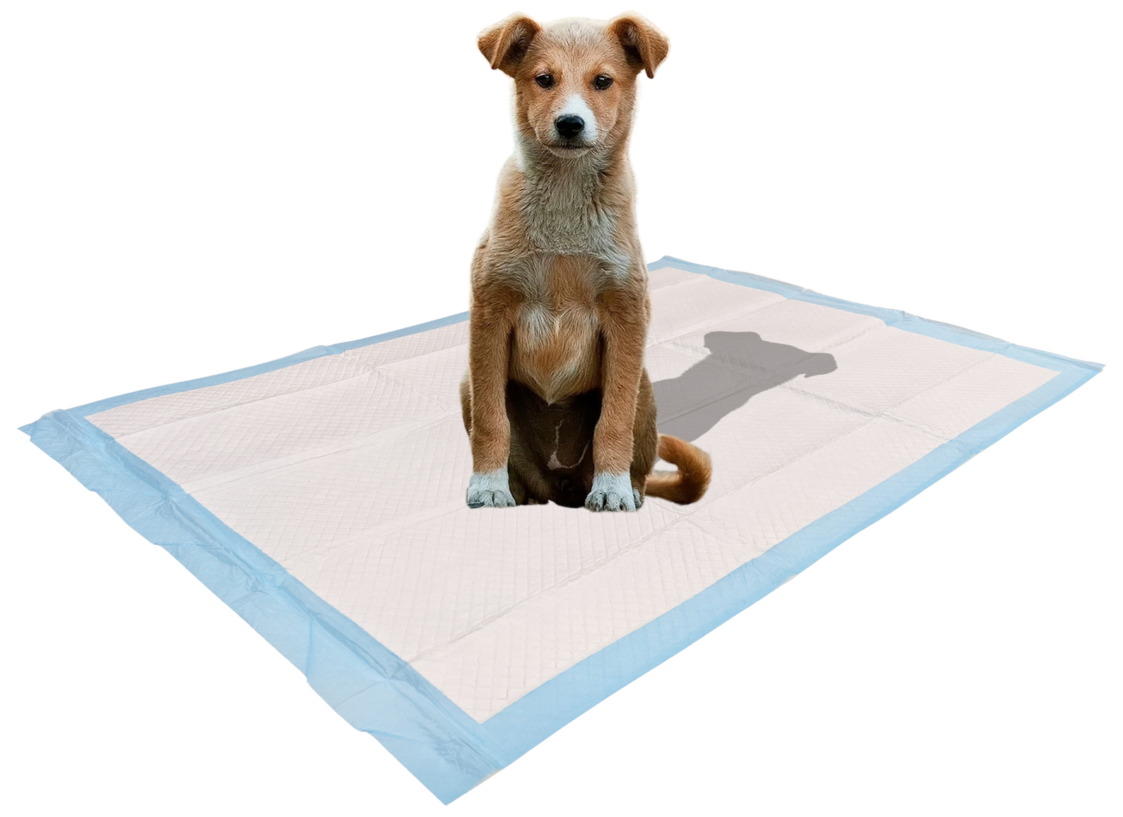 100 Count Ultra Absorbent – Leak-Proof Pee Pads for Dogs Rabbits and Cats