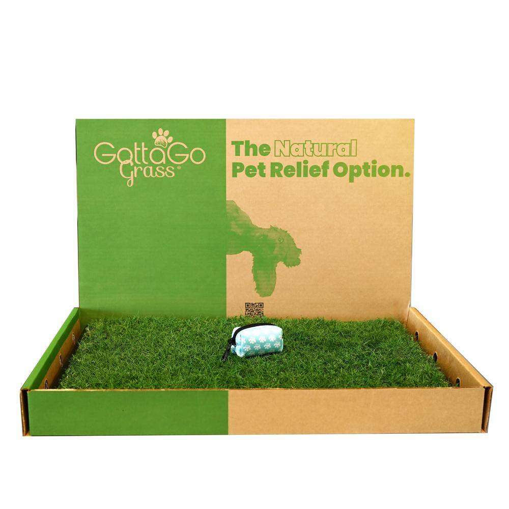 Gotta Go Grass Bermuda Potty Pad Refill plus Waste Bag Dispenser plus Squeaky To
