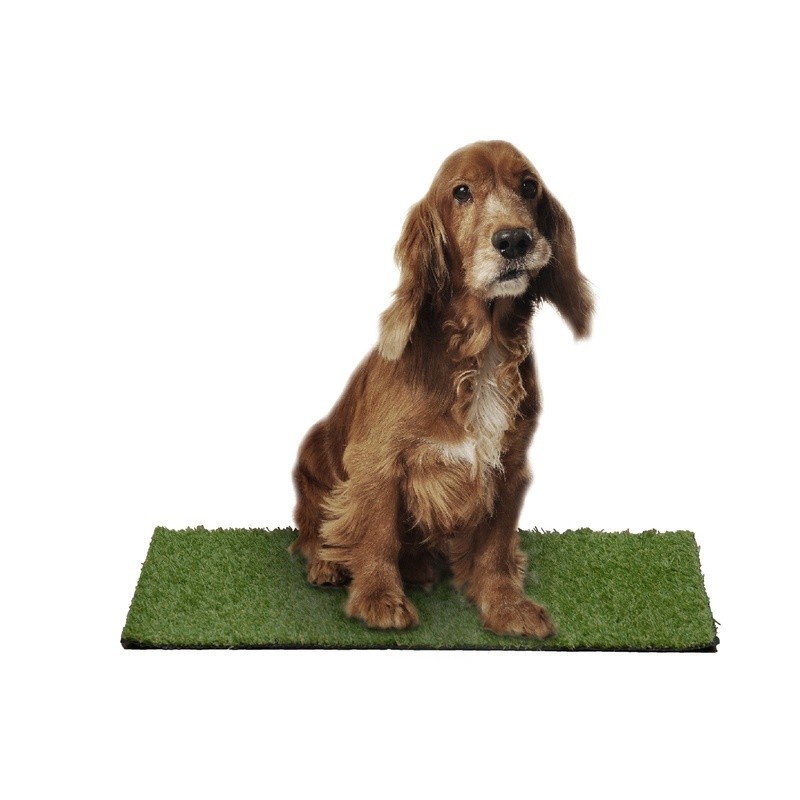 Durable Puppy Pee Pad W/ Natural Grass Look Easy Clean Drainage Potty Training