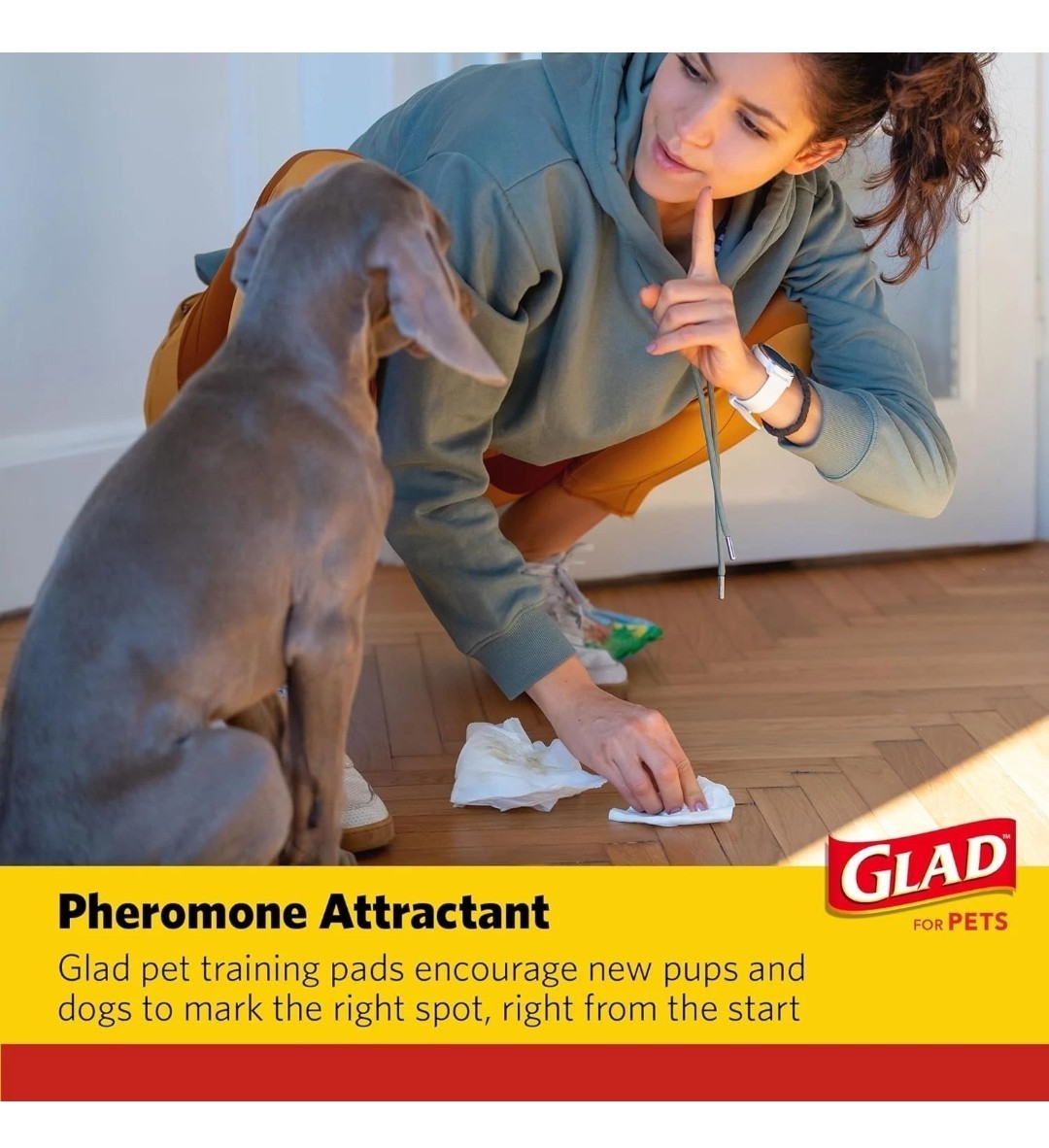 Glad For Pets Day to Night Activated Carbon Puppy Training Crate Whelp Pads Dogs