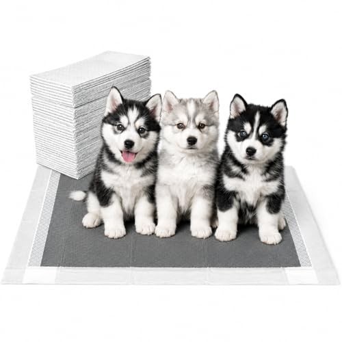 Pet Training Pads 40 Count 23.6 Inch 8 Layer Ultra Absorbent Activated Charcoal