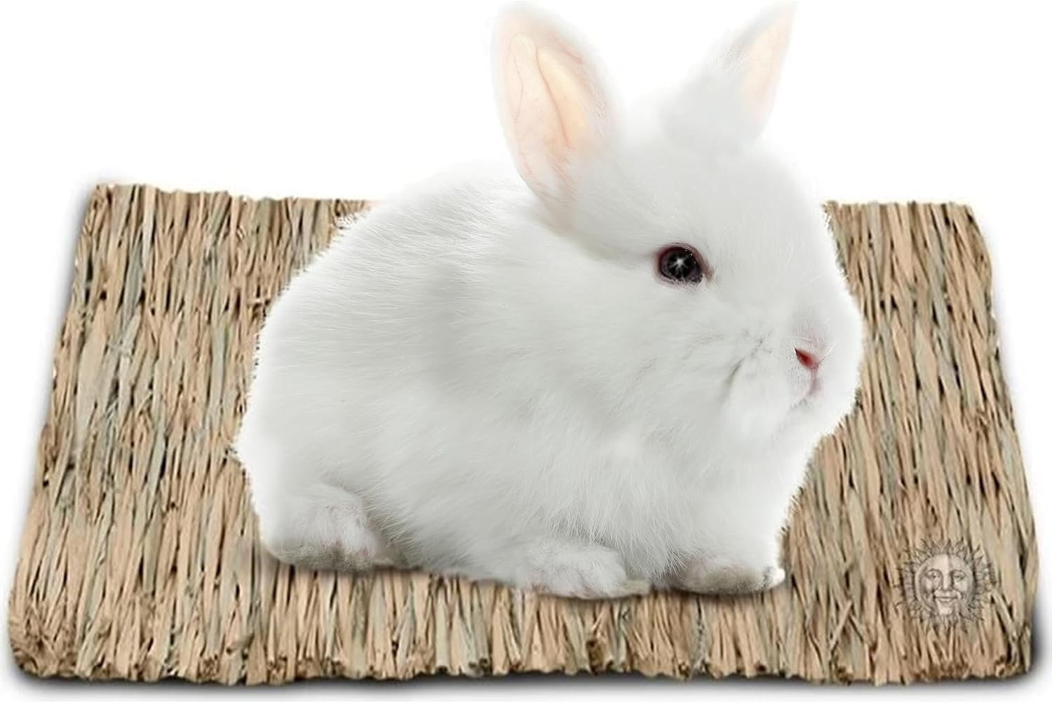 Rabbit Grass Mat, Bunny Cage Accessories, Rabbit Stuff and Supplies, Handmade, E