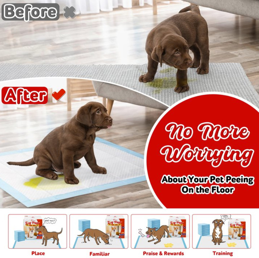Tolobeve Puppy Pads Training Pads, Large, 22 in x 22 in, 200 Count