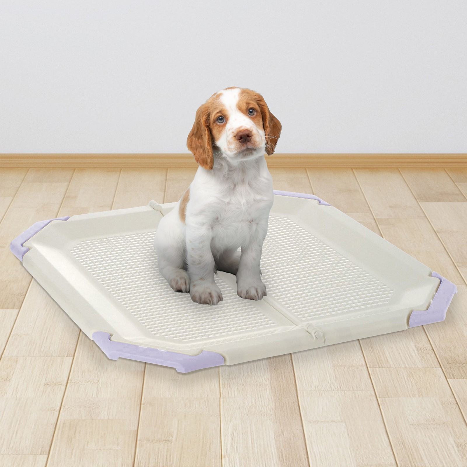 Richell PAW TRAX Mesh Potty Holder in Lavender, Training Tray for Dogs