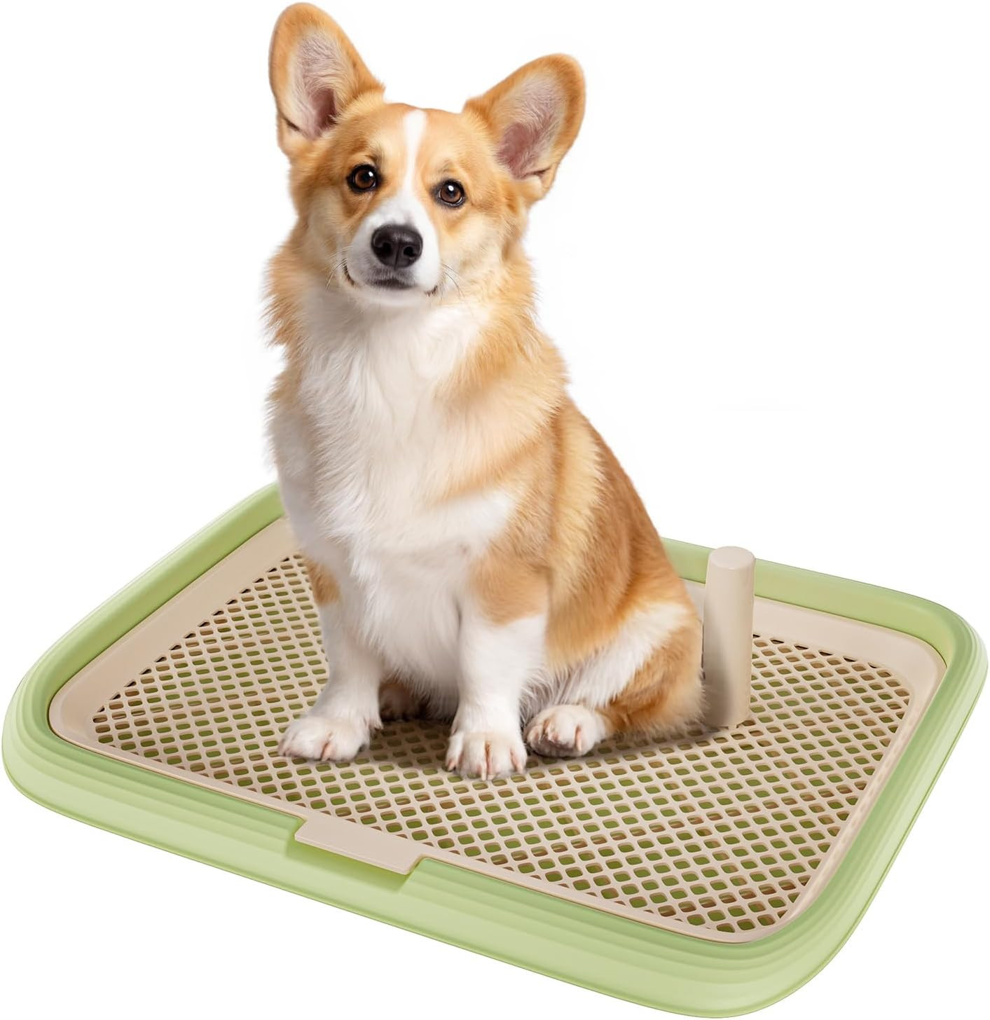 Dog Potty Tray, 23.6″X17.68″ Indoor Pet Pee Pad Holder,Puppy Training Holder,Bat