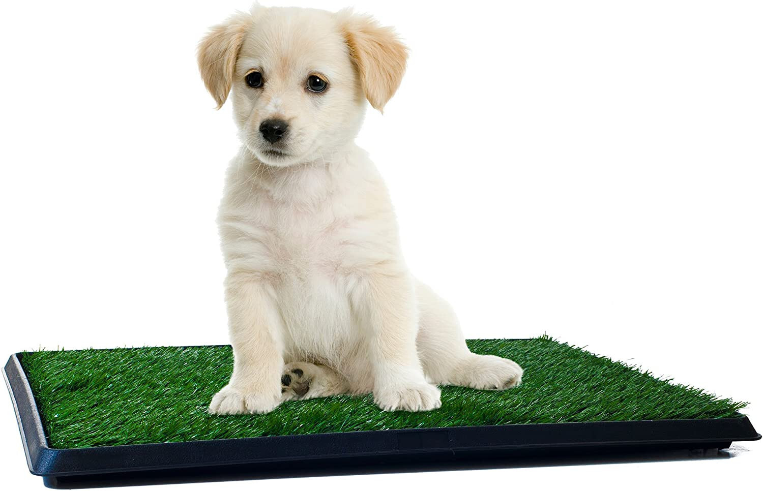 Grass Puppy Pee Pad for Dogs Pets 16×20 Reusable 3-Layer Training Potty Pad Tray