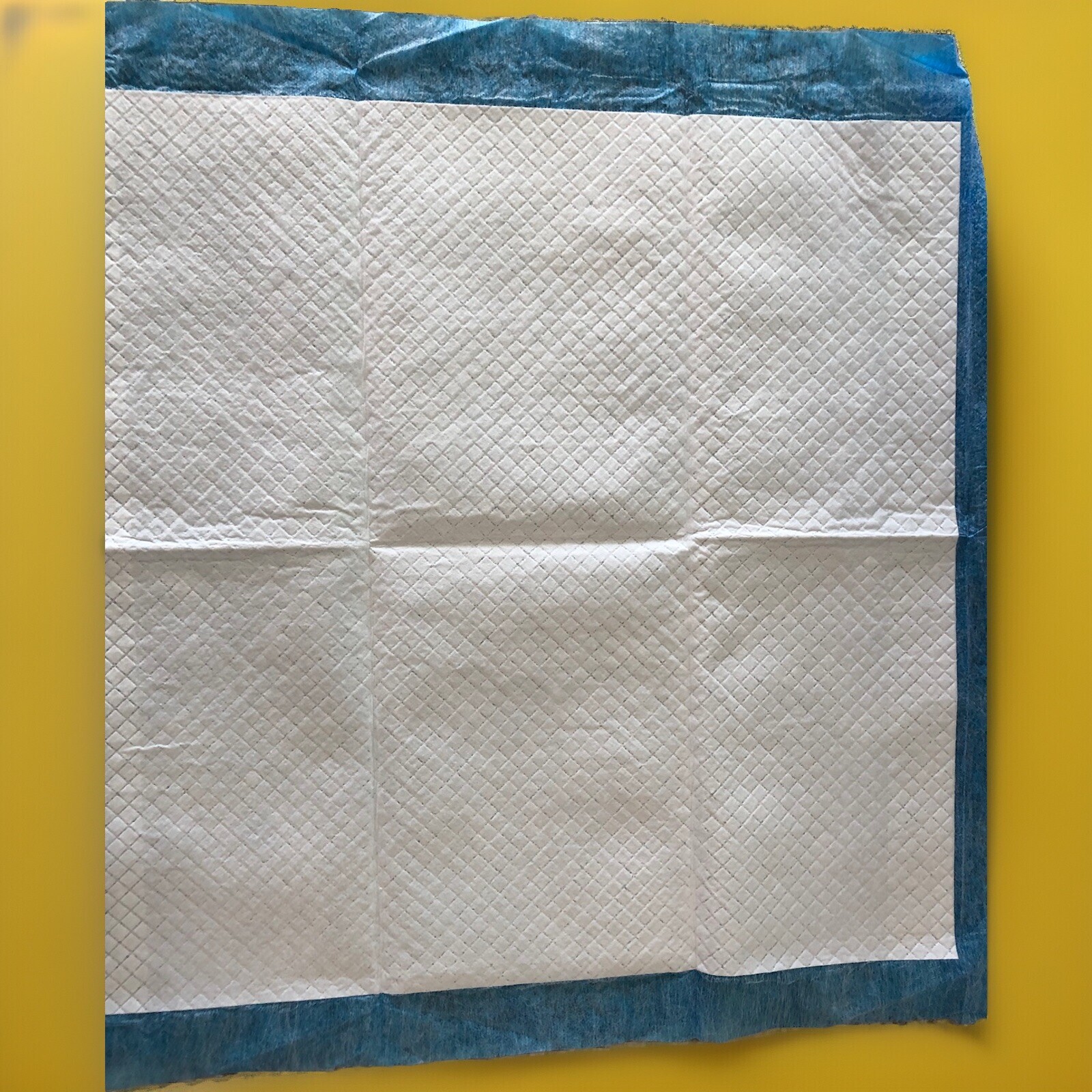 50 Leak-Proof Training Pads For Dogs Ultra Absorbent & Leak Resistant 22” X 22”