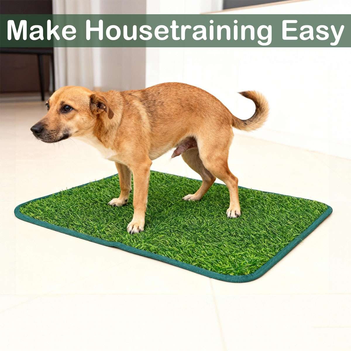 Paw Inspired Washable Dog Pads, Reusable Puppy Pee Wee Training Pads S/M/L/XL
