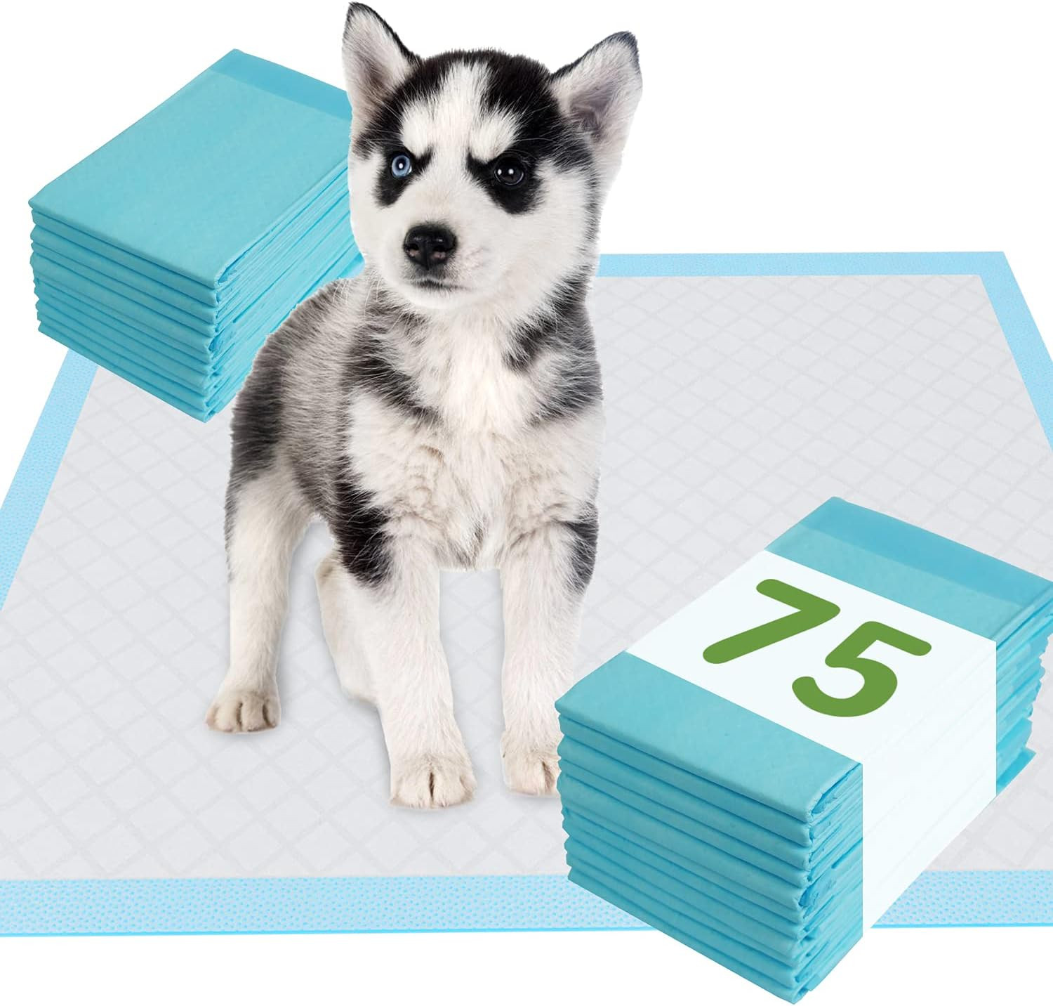 Pet Training and Puppy Pads 24″X24″ (75 Count), Super Absorbent Pee Pads for …
