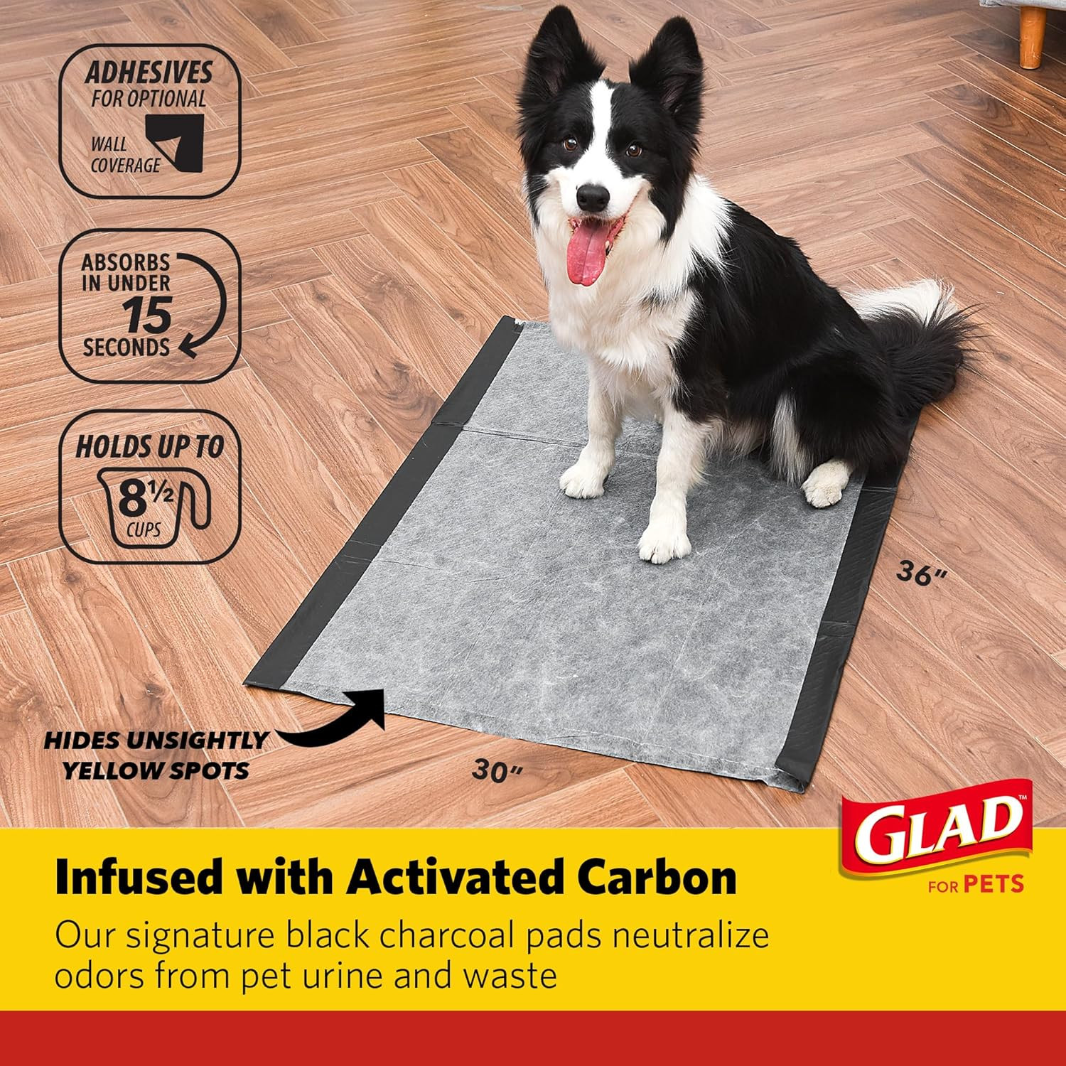 for Pets Day to Night Activated Carbon Puppy Training Pads, Odor Control Disposa