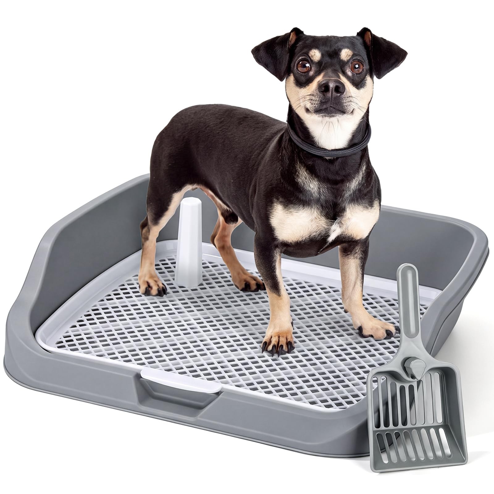 Large Dog Pee Pad Holder Tray 20.5″ x 18″ Puppy Potty Training Pad Tray with …