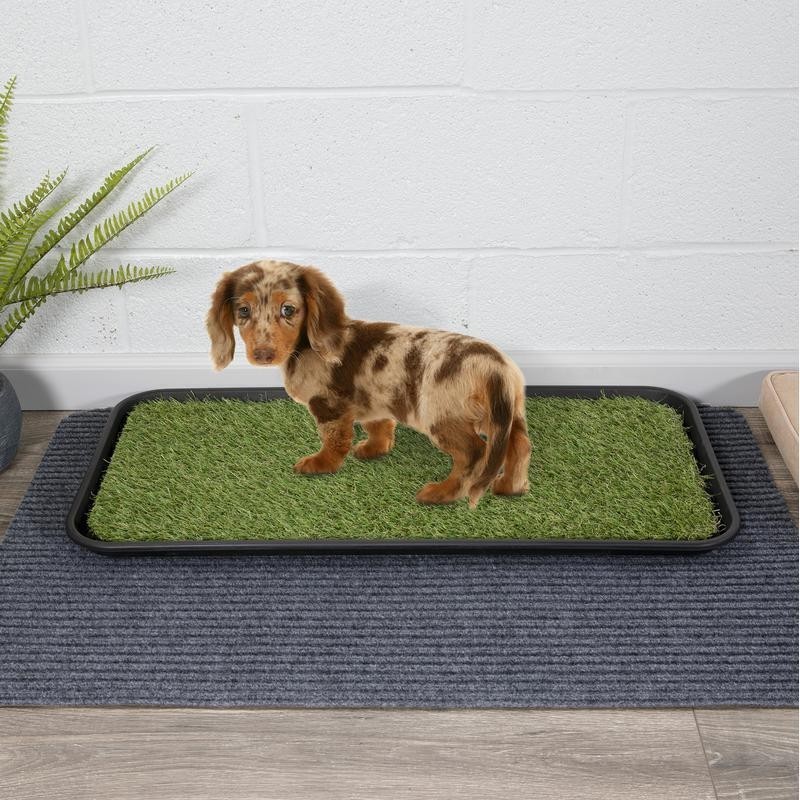 Non-Slip Heavy Duty Indoor Outdoor Pet Care Tray 15″ x 30″ W/ Reusable Grass Pad
