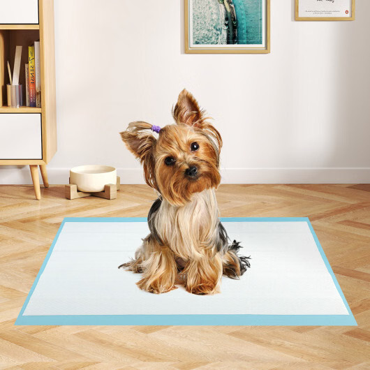 Dog and Puppy Pee Pads 24″ x 17″ (300 Counts) for Potty Training-Blue