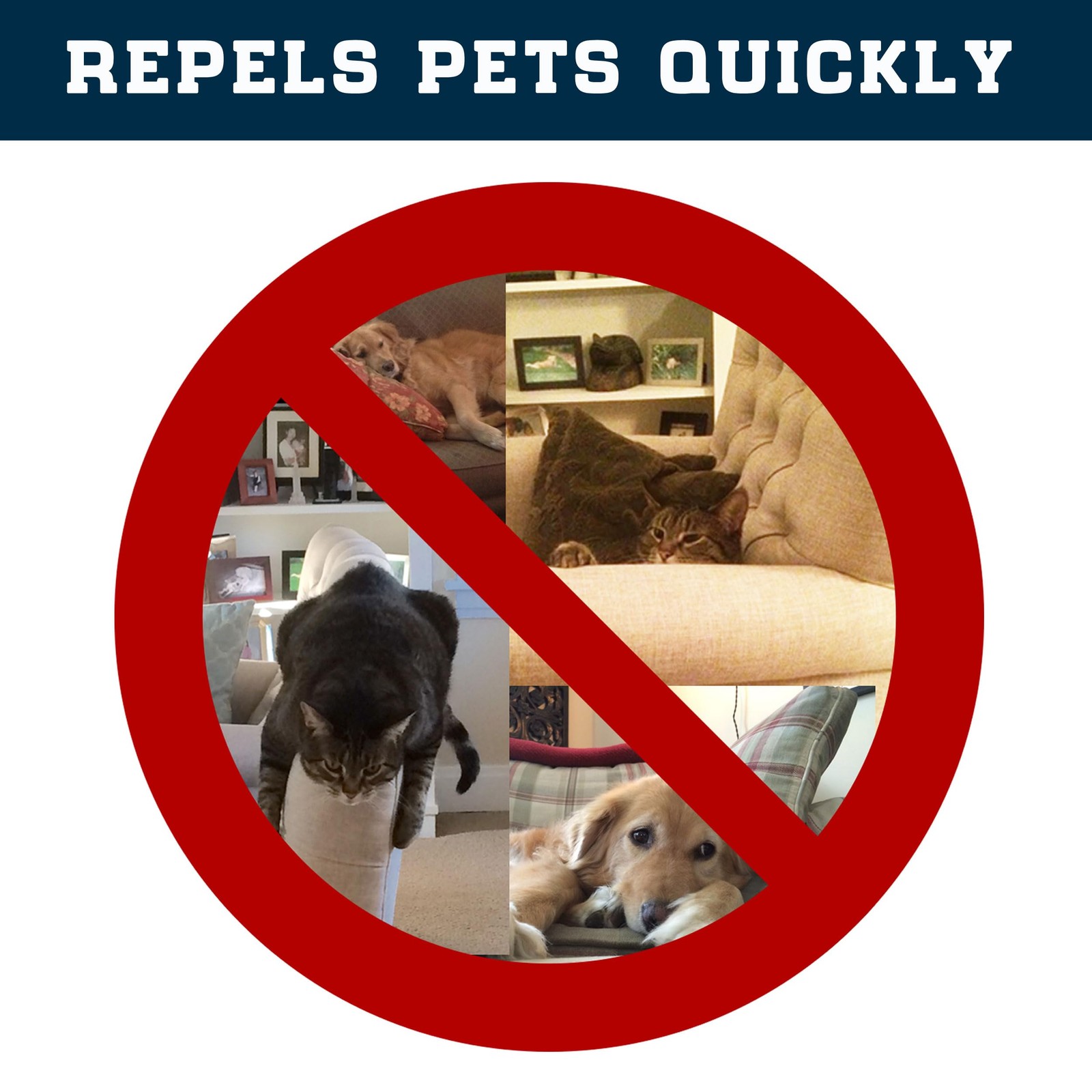 Enthusiast Gear Pet Repellent Mat – Non Electric Cat & Dog Deterrent Training