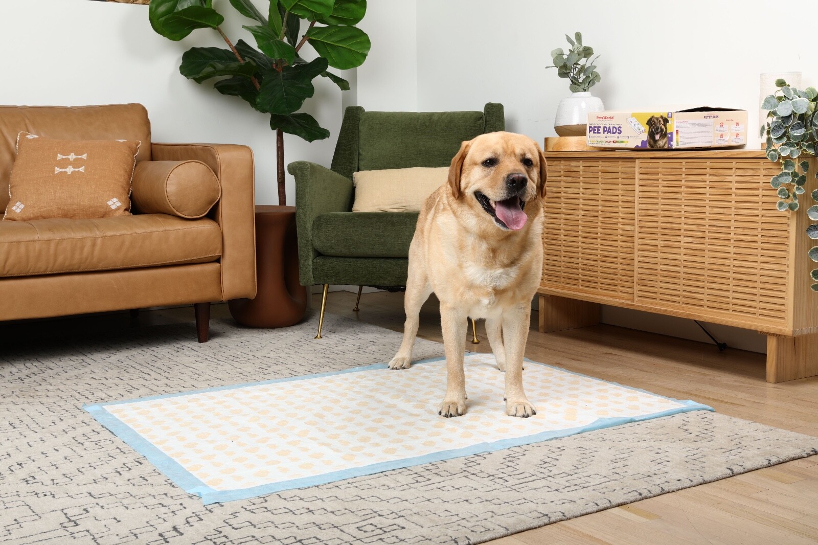 PetsWorld 36×36 Inch Health Monitoring Dog Pee Pads – 25 Count |Color-Changing