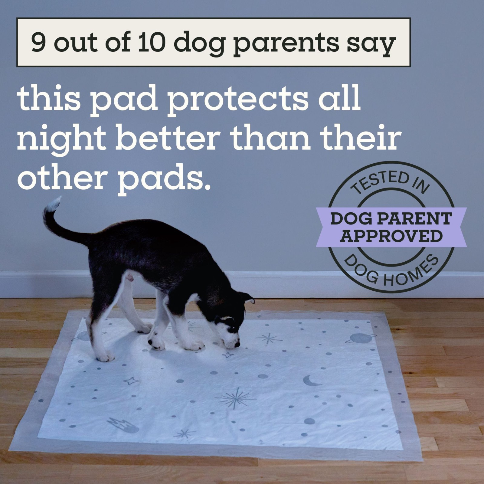 Pet Pads XXL Overnight 14 Count Absorbent Leak Proof Odor Control Dog Training