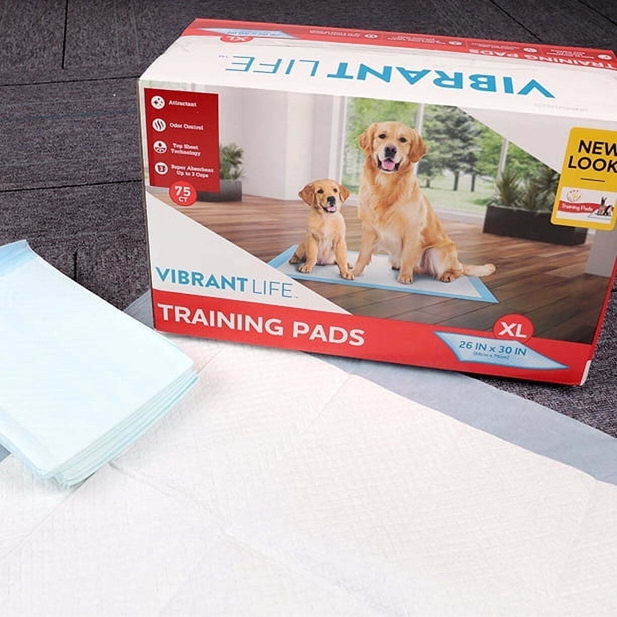 Training Pads Dog & Puppy Pads XL Super-absorbent Pads Leakproof 75 Count NEW