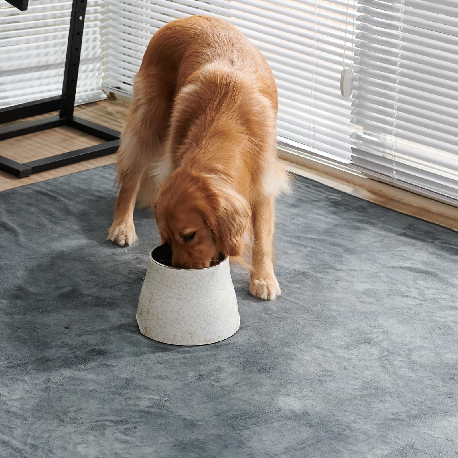 Washable Pee Pads for Dogs, 60×60 Reusable Whelping Pads, Absorb Dog Mats Non…