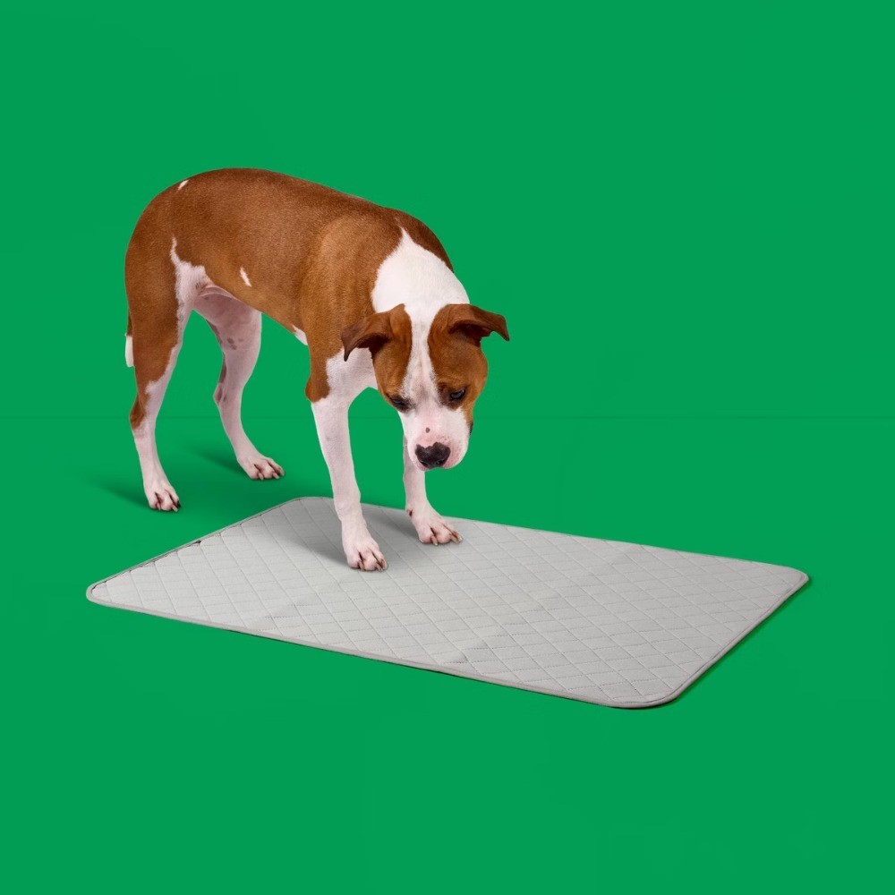Washable Dog Training Pads – 2ct