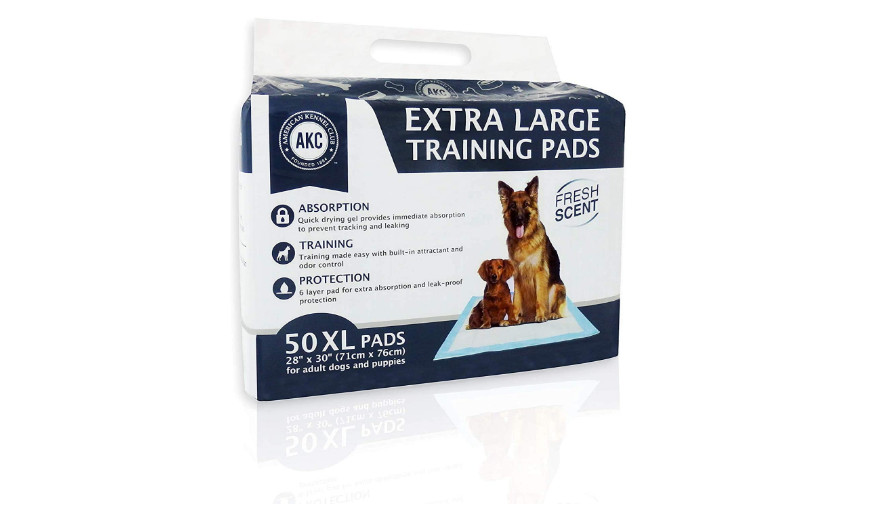 Pet Training Pads XL Extra Large Puppy Dog Pad Potty No Leak Protection 50 Pack