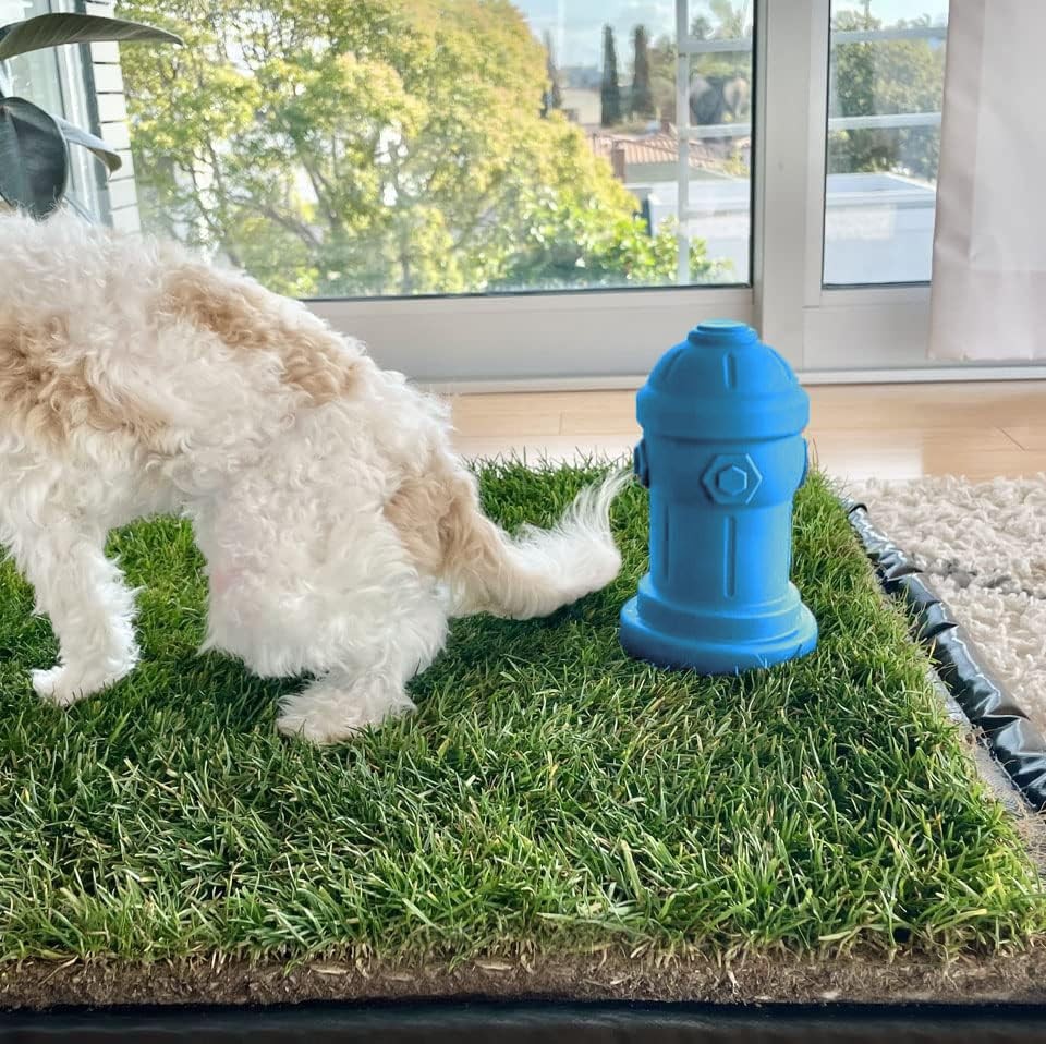 Silicone Potty Training Dog Fire Hydrant | Pee Training for Male Dogs | Blue