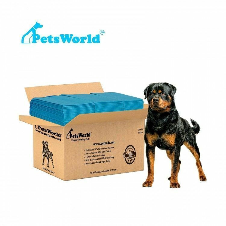 PETSWORLD Extra Large Dog Training & Potty Pads (30×36 inch) 50 – 600 Count