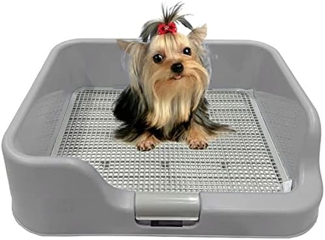 [Dogcharge] Indoor Dog Potty Tray – with Protection Wall Every Side for No Leak,