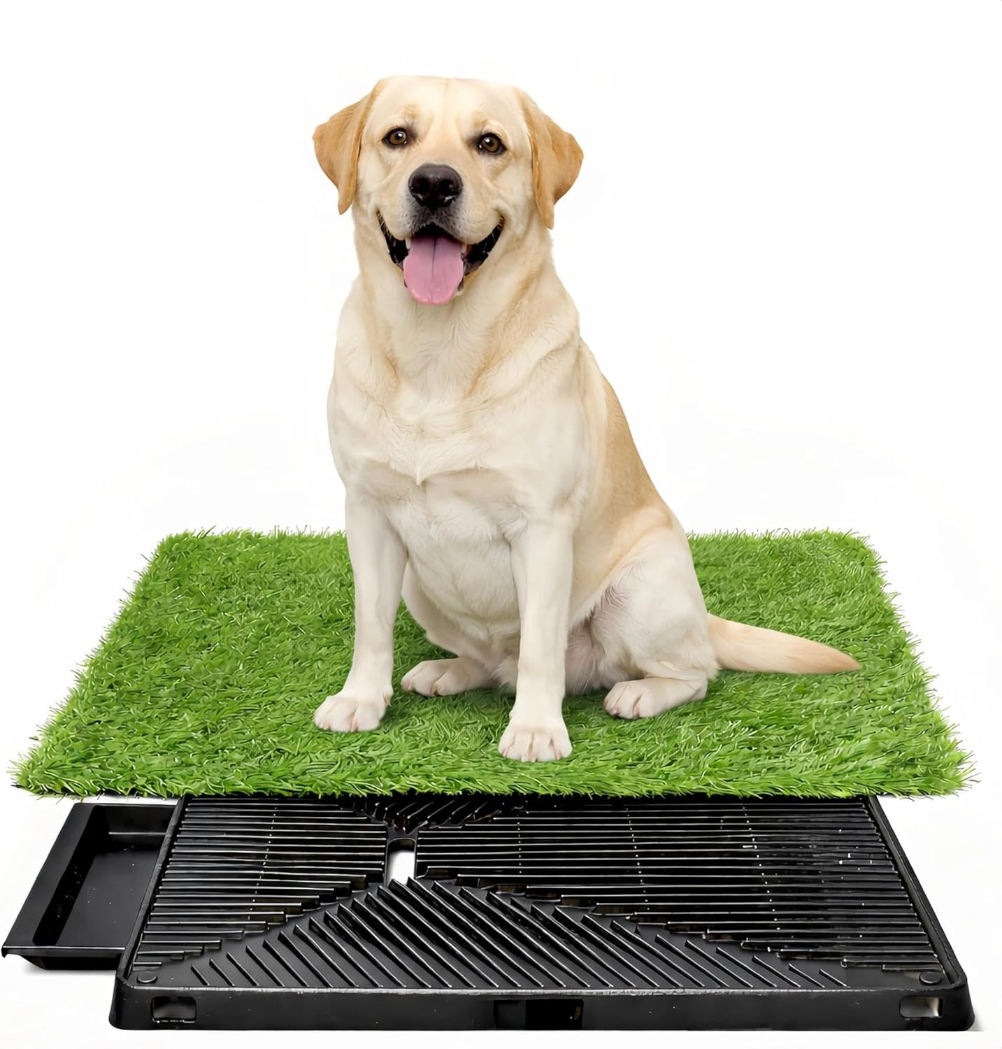 Indoor Dog Grass Pad with Tray – Reusable Potty Solution for Small Dogs