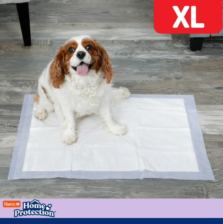 (2 pack) Hartz Home Protection Super Absorbent Odor Eliminating Lavender Scented